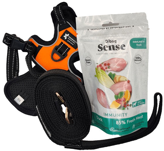 Empieza con Buen Pie