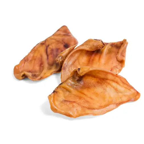 Oreja Grande de Cerdo deshidratada para perros, premio natural que ayuda a la higiene dental y calma la ansiedad.