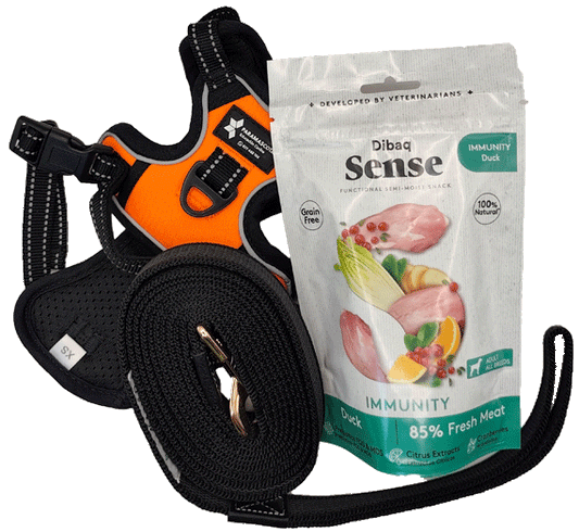 Empieza con Buen Pie